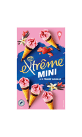 Glace Mini Fraise Vanille Extrême — photo du produit